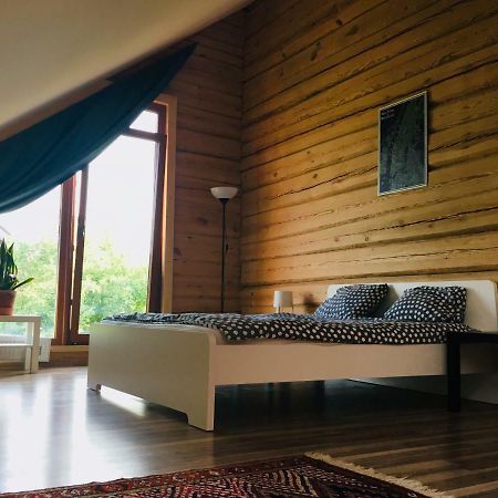 Room In A Scandinavian Style House فيلنيوس المظهر الخارجي الصورة