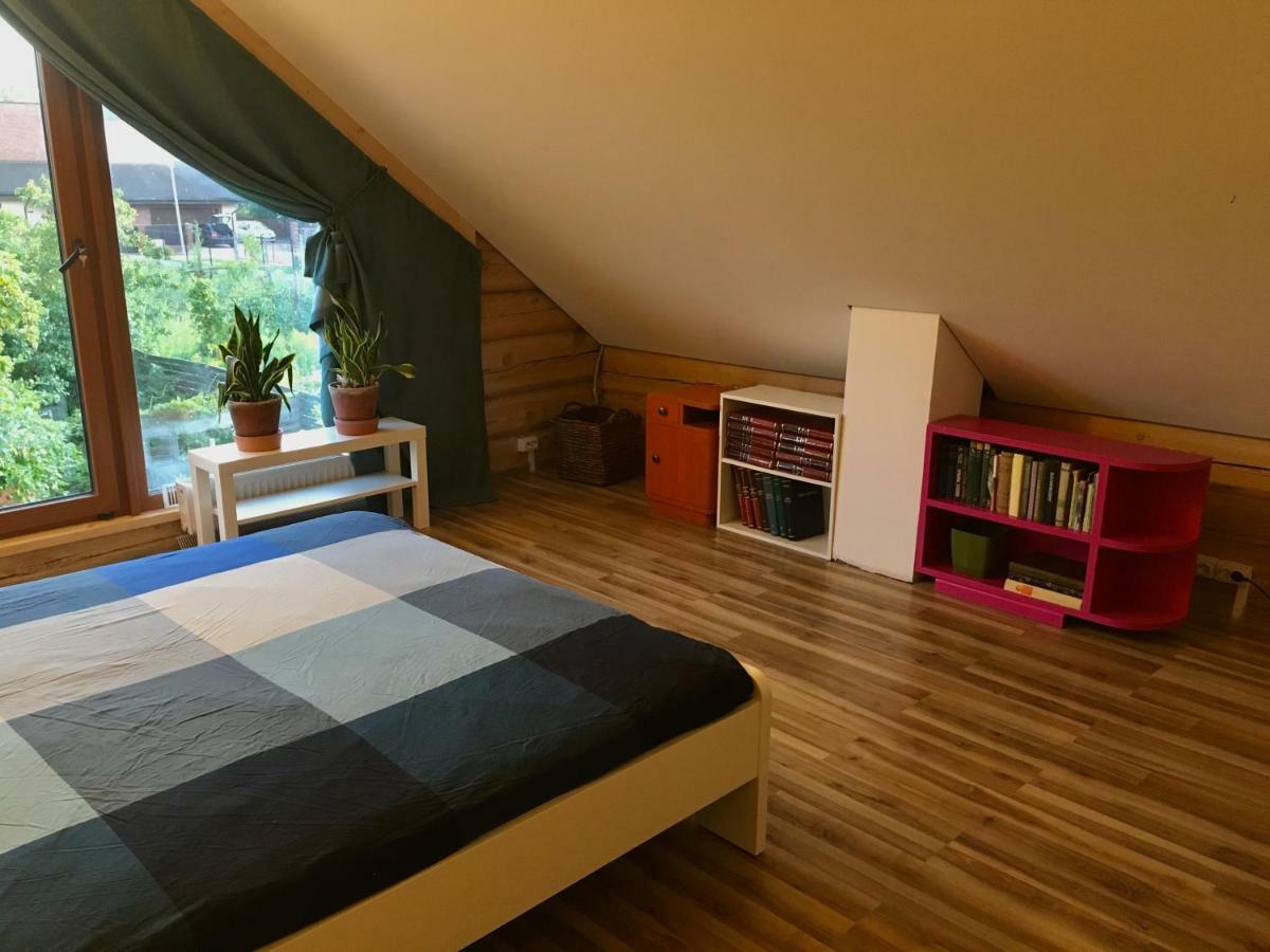 Room In A Scandinavian Style House فيلنيوس المظهر الخارجي الصورة